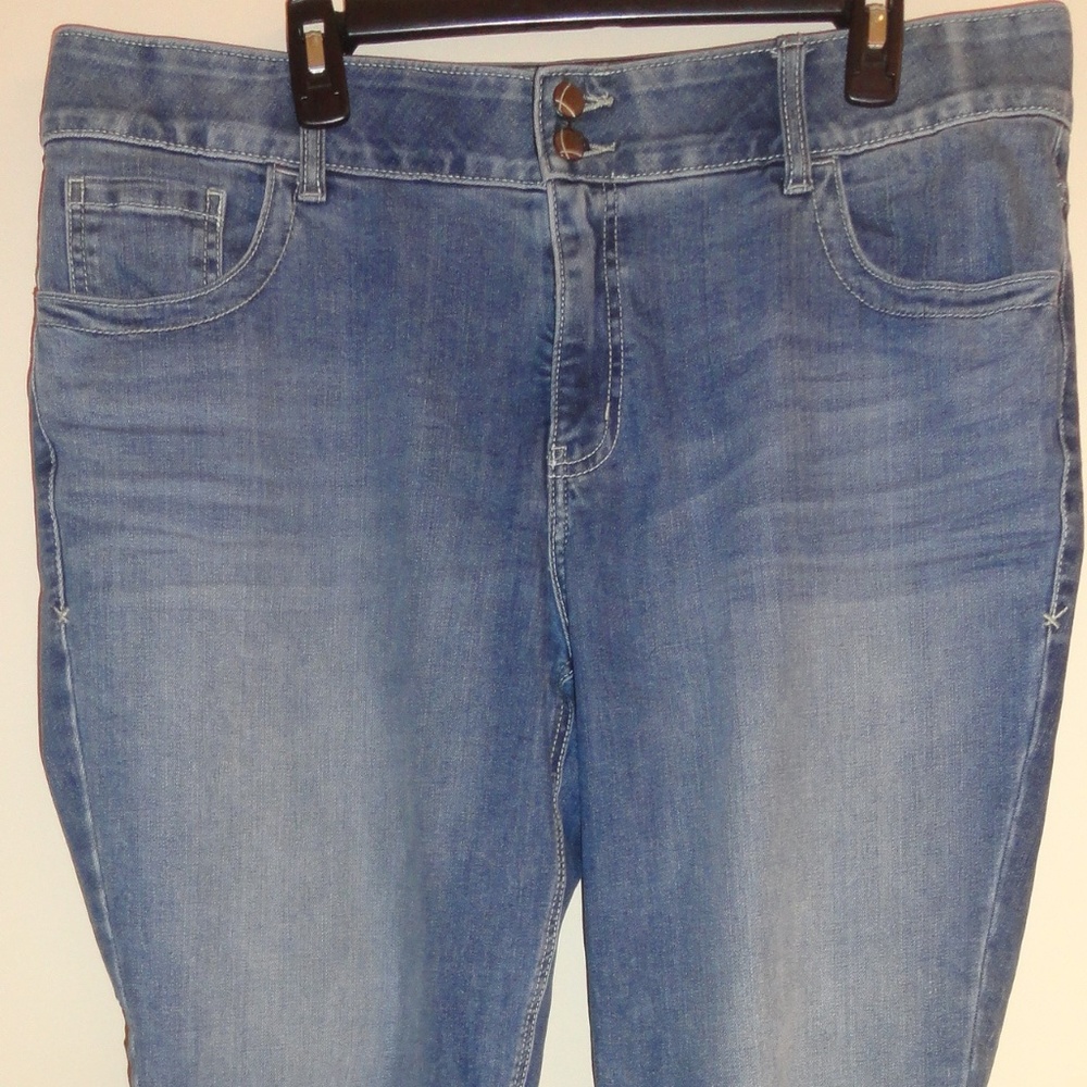 Lane Bryant Skinny Blue Jean